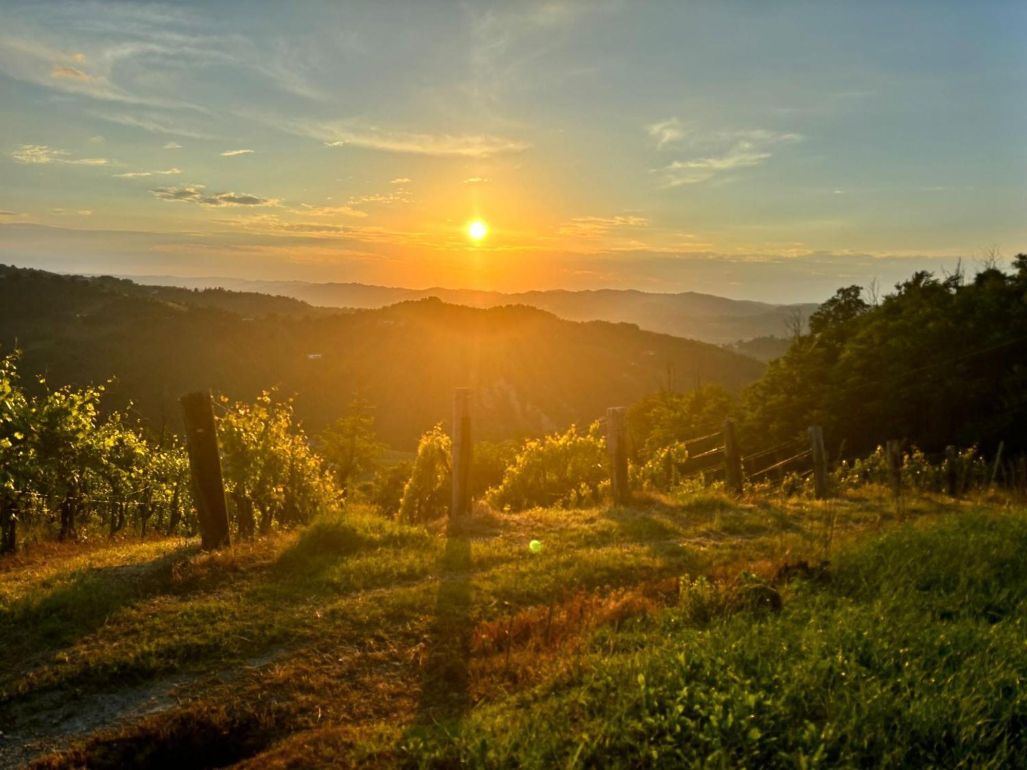 1929 Wine Food Relax Agriturismo Acqui Terme Exterior photo